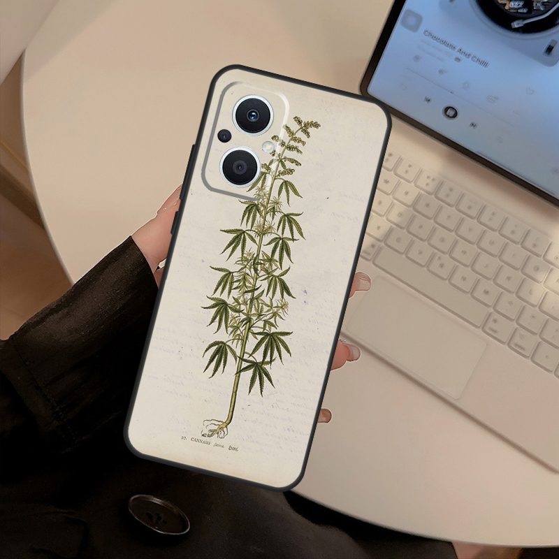 เคสลายดอกไม้ภาพวาดพฤกษศาสตร์ ส - Oppo Reno 12 บทวิจารณ์และราคา